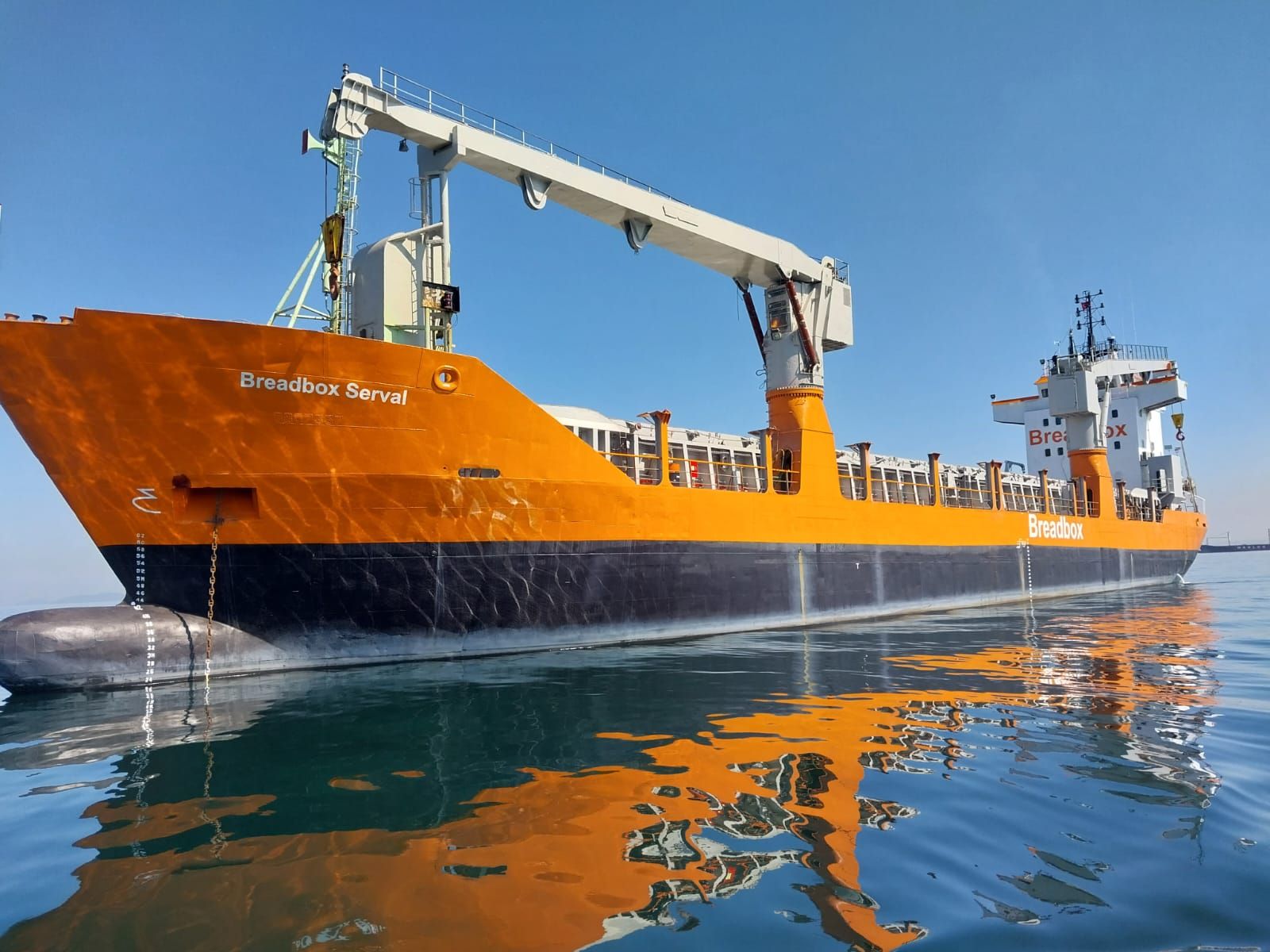 Mv Serval
